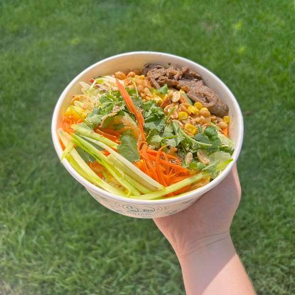 Hand holding a Spring Rolling Vietnamese bowl with beef, peanuts, corn, and fresh vegetables over grass.